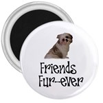 Shih Tzu friends 3  Magnet