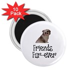 Shih Tzu friends 2.25  Magnet (10 pack)