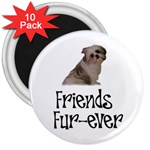 Shih Tzu friends 3  Magnet (10 pack)