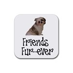 Shih Tzu friends Rubber Coaster (Square)