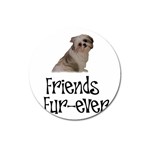 Shih Tzu friends Magnet 3  (Round)