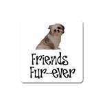 Shih Tzu friends Magnet (Square)