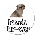 Shih Tzu friends Magnet 5  (Round)