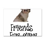 Shih Tzu friends Sticker A4 (10 pack)