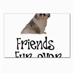 Shih Tzu friends Postcard 4 x 6  (Pkg of 10)