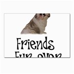 Shih Tzu friends Postcards 5  x 7  (Pkg of 10)