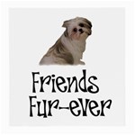 Shih Tzu friends Glasses Cloth (Medium)