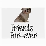 Shih Tzu friends Glasses Cloth (Large)