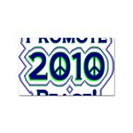 Promote Peace-2010 Sticker Rectangular (10 pack)