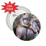 Prairie_Dogs 2.25  Button (100 pack)