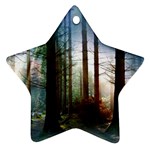 Old_forest Ornament (Star)