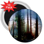 Old_forest 3  Magnet (10 pack)