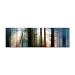 Old_forest Sticker Bumper (10 pack)