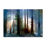 Old_forest Sticker A4 (100 pack)