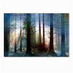 Old_forest Postcard 4 x 6  (Pkg of 10)