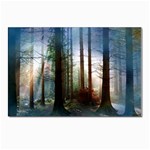 Old_forest Postcard 4 x 6  (Pkg of 10)