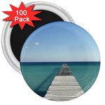 Mallorca 3  Magnet (100 pack)