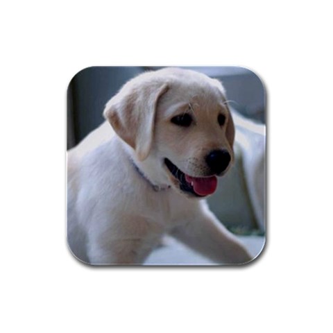 Puppy Labrador 4 Rubber Square Coaster (4 pack) A054 from ArtsNow.com Front