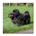 Affenpinscher Dog Tile Coaster