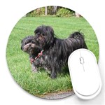 Affenpinscher Dog Round Mousepad