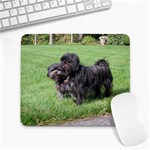 Affenpinscher Dog Large Mousepad