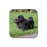 Affenpinscher Dog Rubber Square Coaster (4 pack)