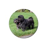 Affenpinscher Dog Rubber Round Coaster (4 pack)