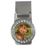 Airedale Terrier Dog Money Clip (CZ)