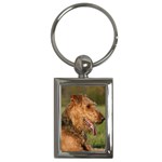 Airedale Terrier Dog Key Chain (Rectangle)