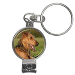 Airedale Terrier Dog Nail Clippers Key Chain