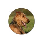 Airedale Terrier Dog Magnet 3  (Round)