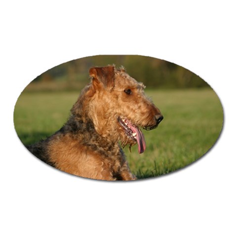 Airedale Terrier Dog Magnet (Oval) from ArtsNow.com Front