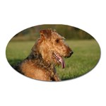 Airedale Terrier Dog Magnet (Oval)