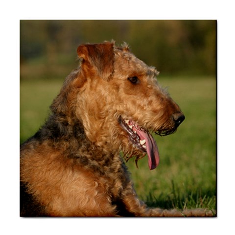 Airedale Terrier Dog Tile Coaster from ArtsNow.com Front