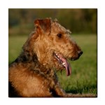 Airedale Terrier Dog Tile Coaster