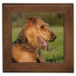 Airedale Terrier Dog Framed Tile