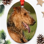 Airedale Terrier Dog Ornament (Oval)