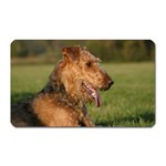 Airedale Terrier Dog Magnet (Rectangular)