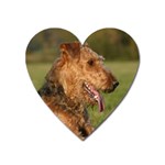 Airedale Terrier Dog Magnet (Heart)