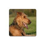 Airedale Terrier Dog Magnet (Square)