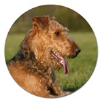 Airedale Terrier Dog Magnet 5  (Round)