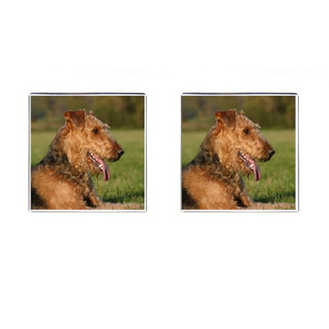 Airedale Terrier Dog Cufflinks (Square) from ArtsNow.com Front(Pair)