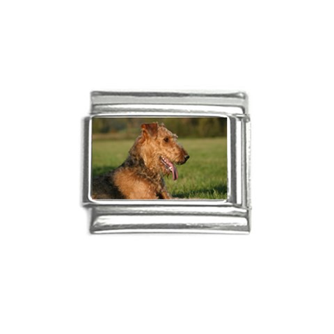 Airedale Terrier Dog Italian Charm (9mm) from ArtsNow.com Front