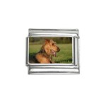 Airedale Terrier Dog Italian Charm (9mm)