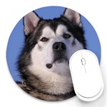 Alaskan Malamute Dog Round Mousepad