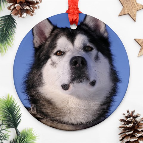 Alaskan Malamute Dog Ornament (Round) from ArtsNow.com Front