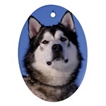 Alaskan Malamute Dog Ornament (Oval)