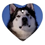 Alaskan Malamute Dog Ornament (Heart)