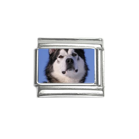 Alaskan Malamute Dog Italian Charm (9mm) from ArtsNow.com Front