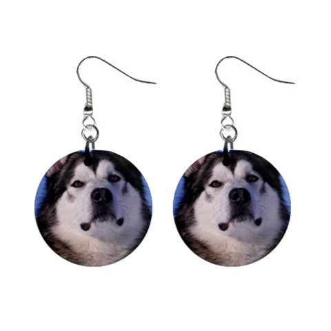 Alaskan Malamute Dog 1  Button Earrings from ArtsNow.com Front